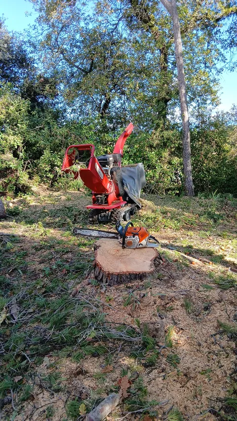 Broyeur rouge et tronçonneuse posée sur une souche parmi les branches coupées