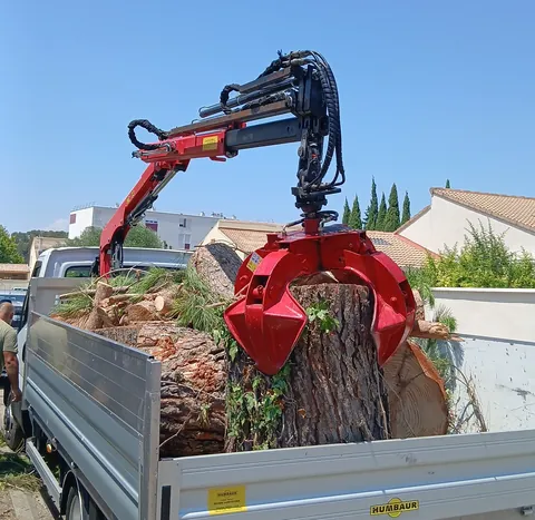 Grue rouge au-dessus de billots et de branches chargés dans une benne