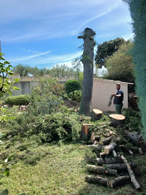 Tronc partiellement démonté, branches et billots de bois dans un jardin